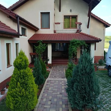 Casa Doina Daire Băile Felix Dış mekan fotoğraf